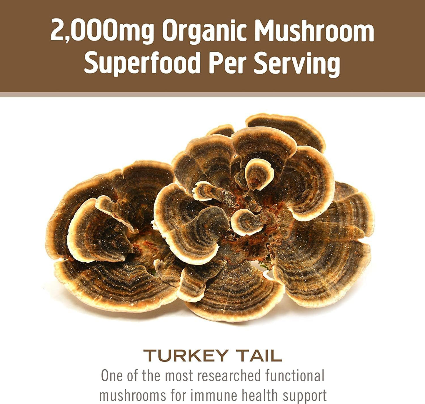 Om Mushroom Superfood Turkey Tail Mushroom Capsules Superfood Supplement, 90 Count, 30 Days, Immune Support, Polysacchrides, Beta-Glucans, Gut Health & Holistic Defense Mushroom Supplement