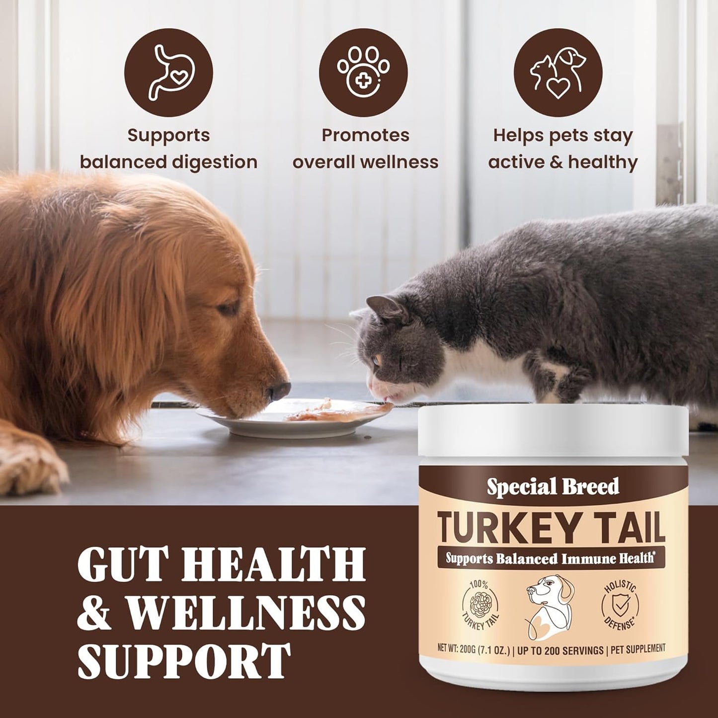 Turkey Tail Mushroom for Dogs - Organic Turkey Tail for Dogs Mushroom Powder for Respiratory, Immunity, Digestion - Lipoma Lumps and Bumps Supplement, No Fillers - 200 Grams