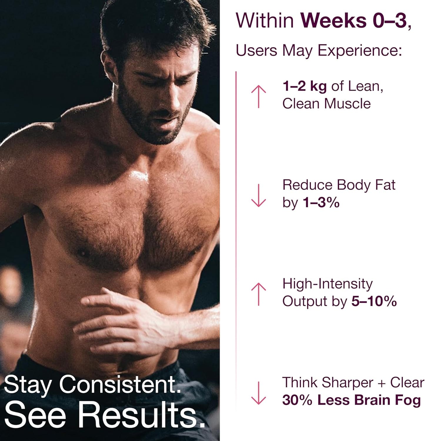 Bear Balanced Creatine Gummies for Men & Women - Creapure® Creatine Monohydrate, L-Theanine, L-Tyrosine & B12 for Muscle Growth, Strength, Focus, Energy & Health - Low Calorie, Sugar-Free, & Vegan