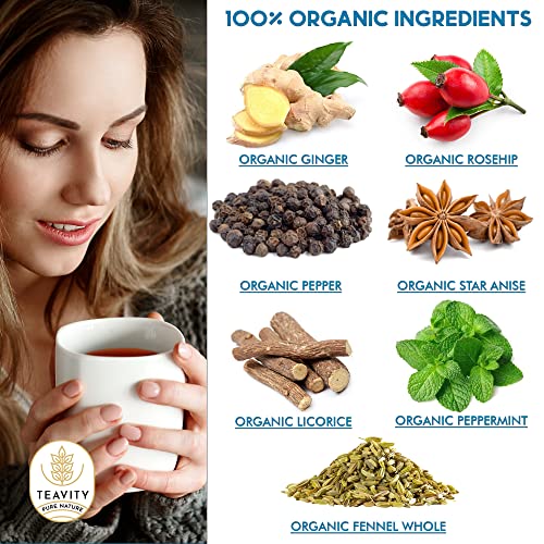 Organic Tea Pods with Ginger, Peppermint, Fennel, Licorice, & Rosehip Digest Delight by Teavity (24 Tea Pods)