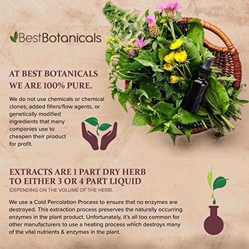 Best Botanicals Red Clover Blossoms Whole 4 oz. (Organic)