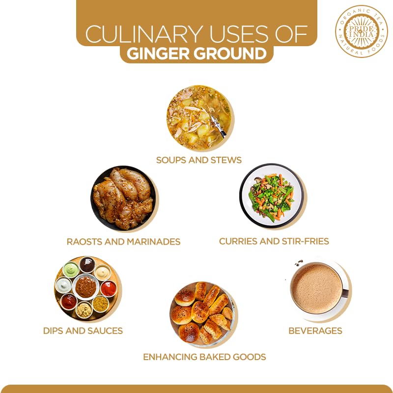 Pride of India - PACK of 6 - Ginger Fine Ground – Gourmet Spice – Blends Well – Good for Cooking/Baking/Tea & More – No Additives – Fresh Root Powder – Easy to Store – 8oz. Medium Dual Sifter Bottle