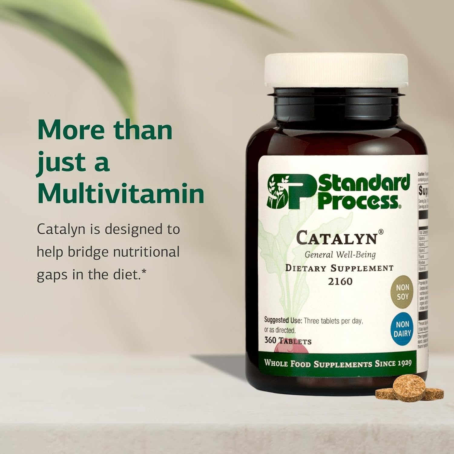 Standard Process Inc. Catalyn - Whole-Food Based Foundational Support for General Wellbeing with Vitamins D, C, A & B6, Thiamine, Riboflavin, Magnesium Citrate - 360 Tablets