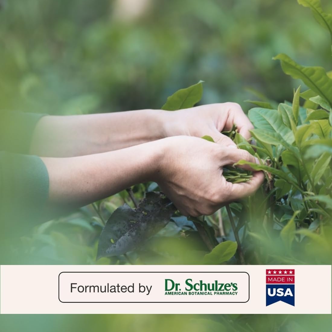 Dr. Schulze's Easy GO Bowel Mover 2-Pack | Formulated Gentle Laxative, Colon Toner & Stool Softener | 100% Plant Natural Bowel Cleanse | Promotes Regular & Complete Bowel Movements | 100 Ct Vegan