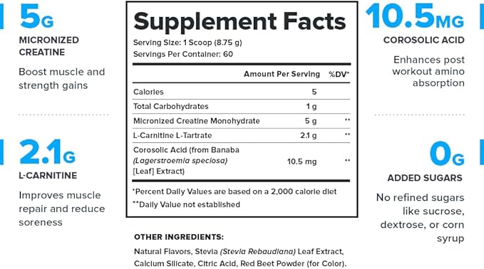 LEGION Recharge Post Workout Supplement (Strawberry Lemonade) - All Natural Muscle Builder & Recovery Drink with Micronized Creatine Monohydrate. Naturally Sweetened & Flavored 60 Serving