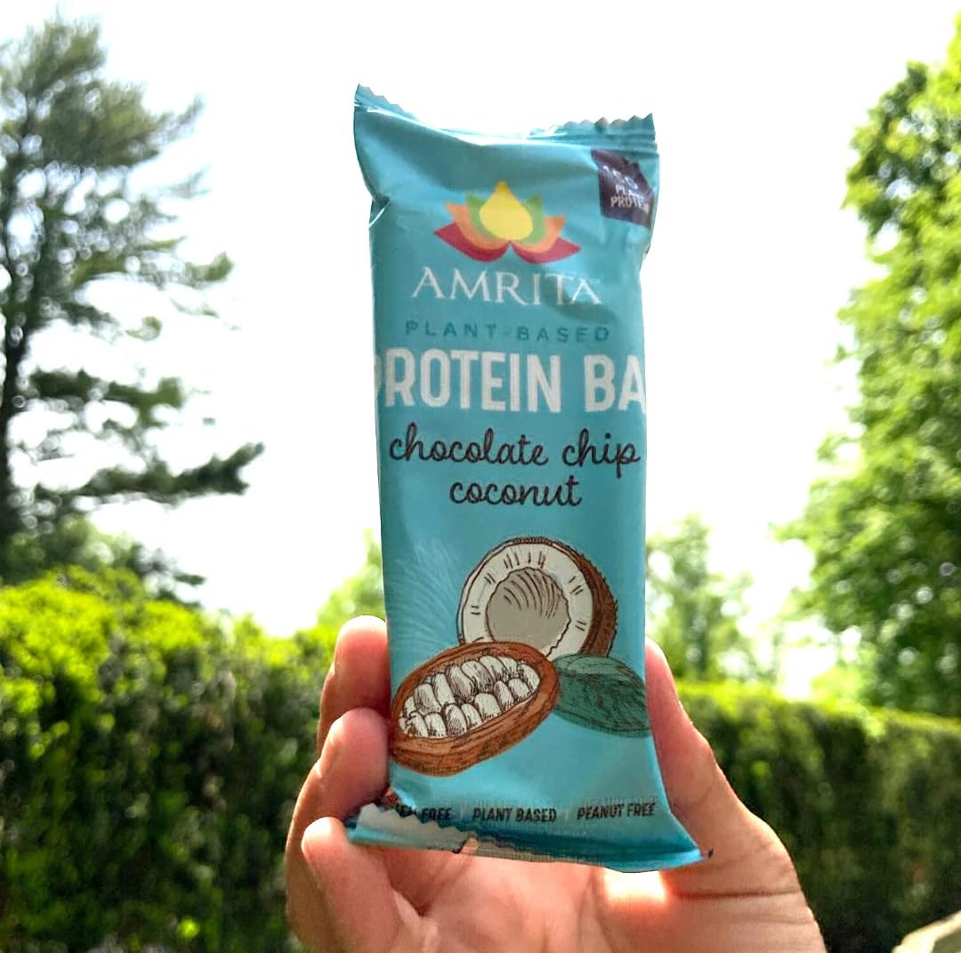 Amrita Nut Free Chocolate Chip Coconut Vegan Protein Bars (12 CT PK of 3) | 12g Plant-Based Protein Bar | Peanut Free, Gluten Free, and Dairy Free | Low Sugar, High Fiber, Healthy School-Safe Snacks