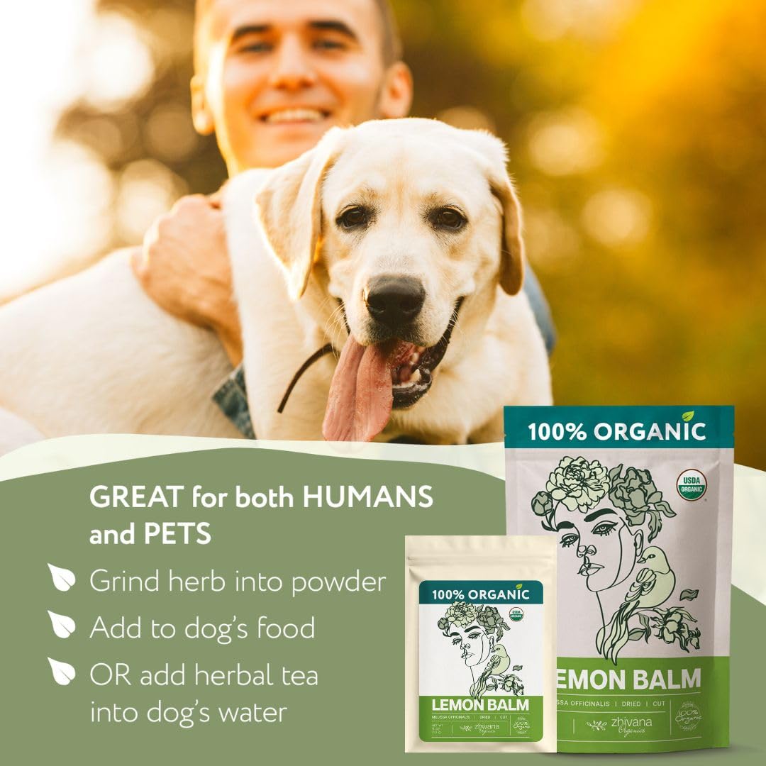 Super Value Pack 5 LB - Organic Lemon Balm Tea - Melissa Officinalis - Improve Sleep, Support Digestion, Lower Stress Levels