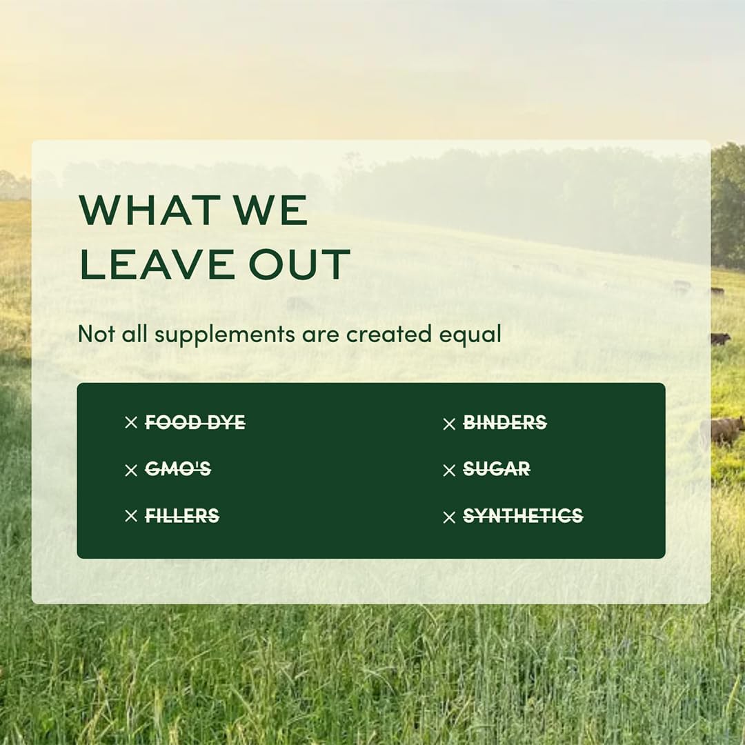 Once Daily Multi for Men 50+, 19 Vitamins from Herbs & Superfoods, Supports Prostate Health, Energy Levels, and Strong Bones, 30 Count