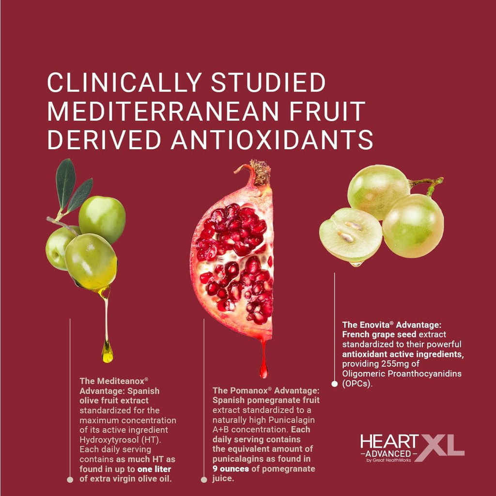 OmegaXL HeartXL Advanced - Heart Health Supplement - Three clinically Studied Mediterranean antioxidant extracts - Supports Blood Pressure, Cholesterol and Circulatory Health (60 Capsules)