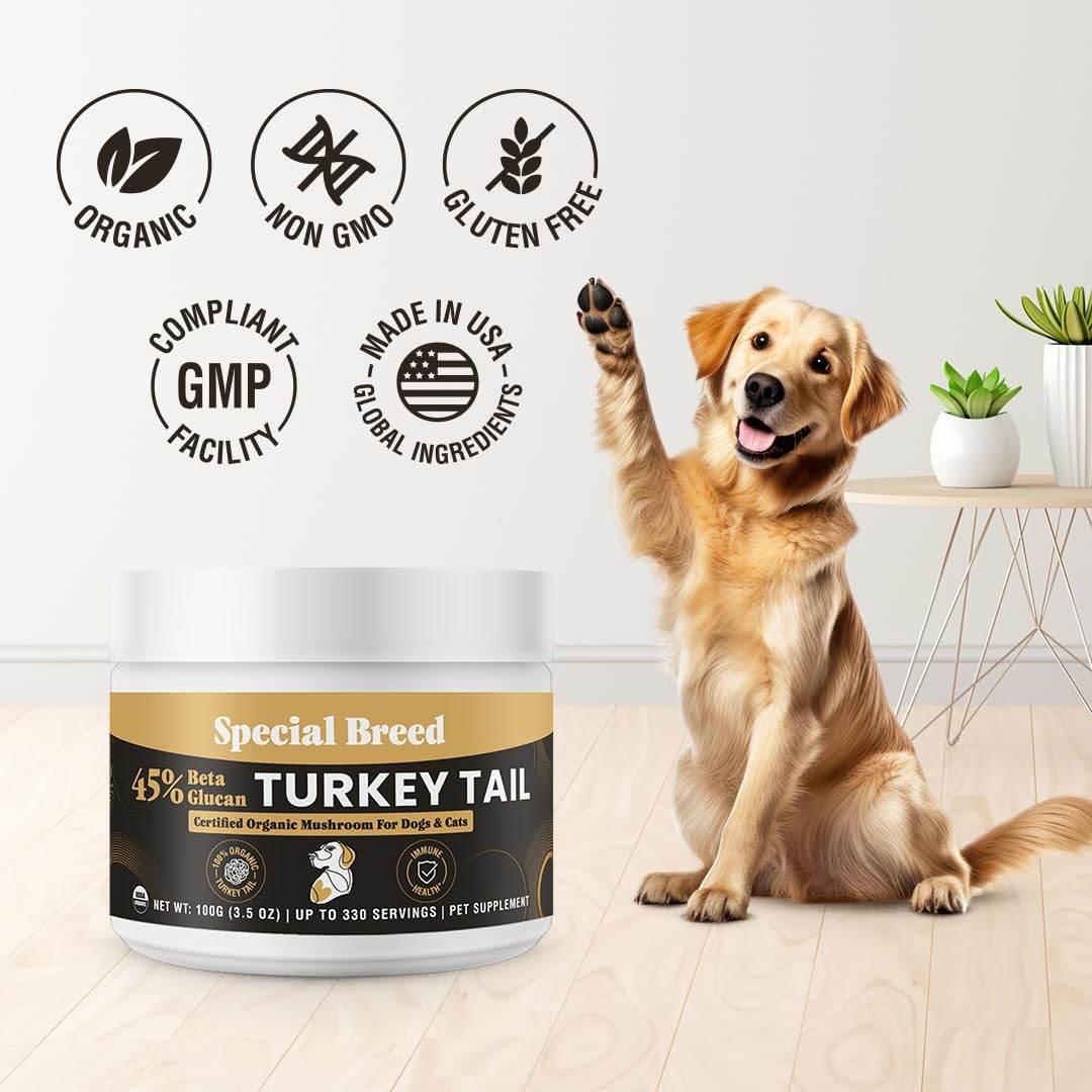 Organic Turkey Tail Mushroom for Dogs & Cats - Hot Water Extracted 45% Beta-Glucan USDA Mushroom Powder for Immune Support, Gut Health, Holistic Defense - No Fillers, Made in The USA - 330 Scoops