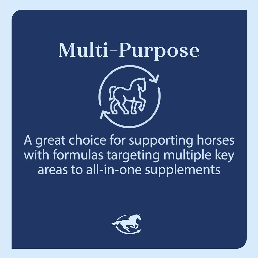 SmartEquine Smart & Simple Jiaogulan | Horse Supplement | Supports Proper Circulation for Overall Well-Being | Muscle Support | 324 Servings | 5lb