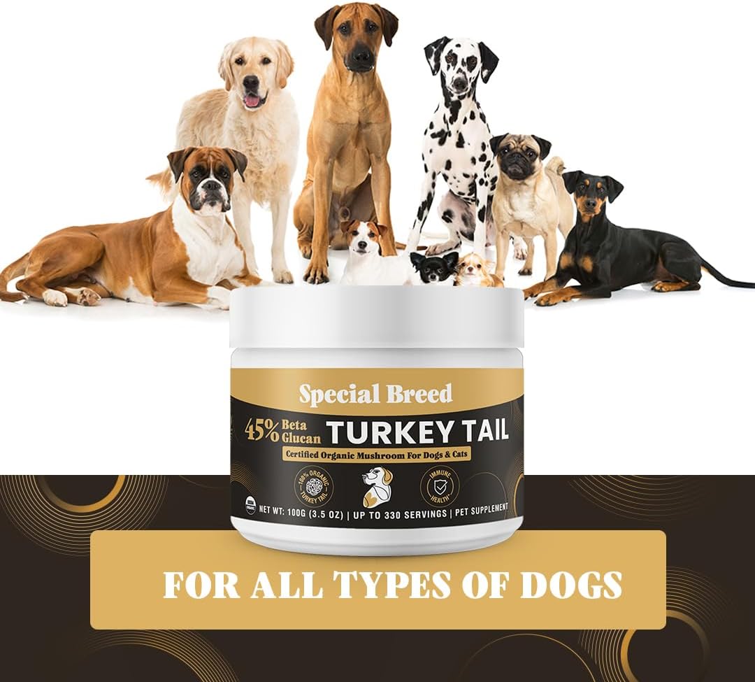 Organic Turkey Tail Mushroom for Dogs & Cats - Hot Water Extracted 45% Beta-Glucan USDA Mushroom Powder for Immune Support, Gut Health, Holistic Defense - No Fillers, Made in The USA - 330 Scoops