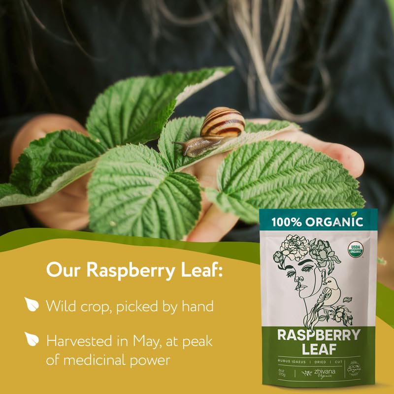 Organic Red Raspberry Leaf Tea – Wild Raspberry Tea for for Pregnancy, Healthy Cycle, Menstrual Cramps – 6oz