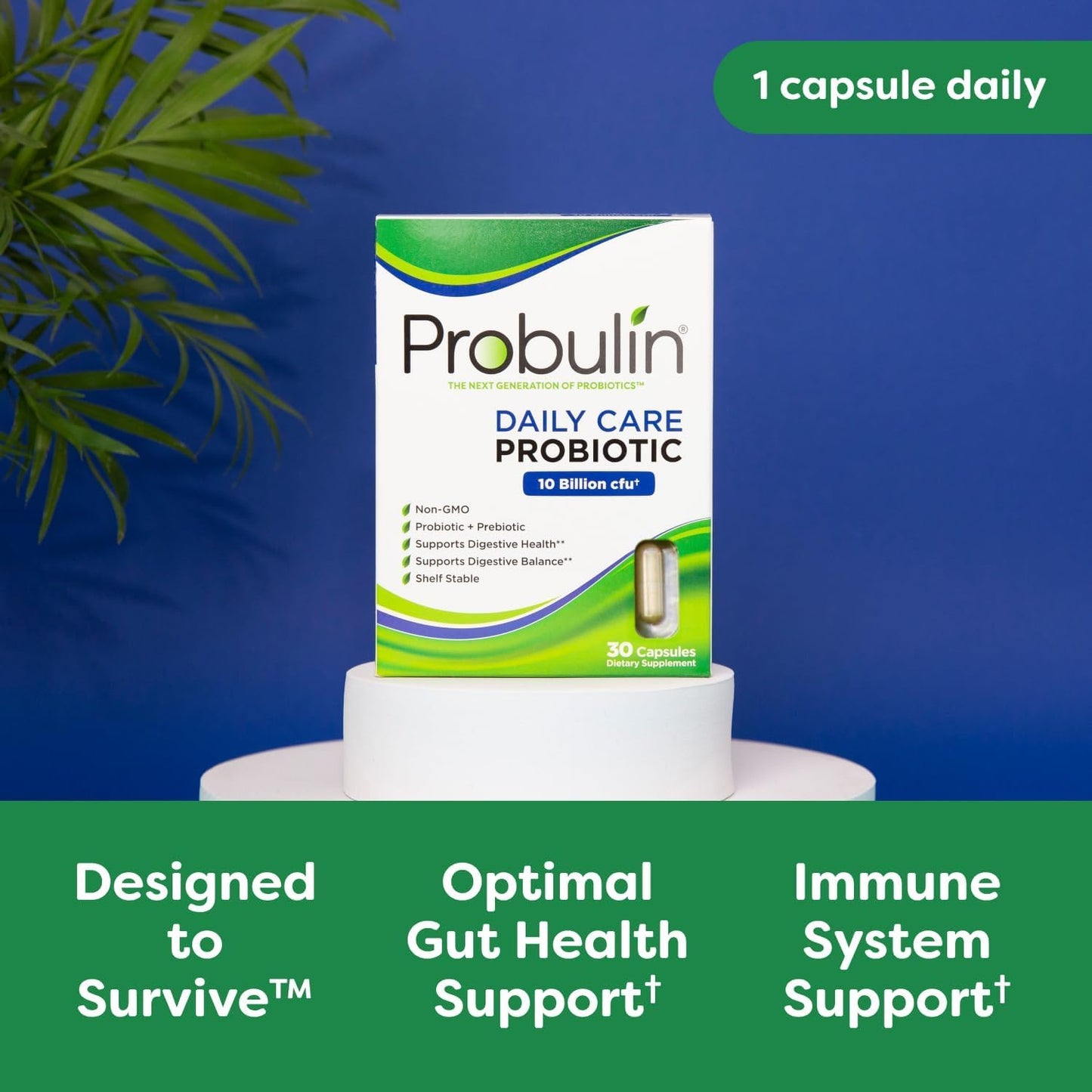 Probulin Daily Care Probiotic Supplement, Digestive, Gut, and Immune Health Support Capsules for Men and Women, 10 Billion CFU, Vegan, 60 Count Box