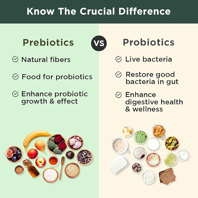 BB Company Previtalize | Prebiotics for Women, Prebiotic Fiber for Gut Health, Digestive Health | Food for Good Probiotics | Complement to Probiotics & Provitalize | Packaging Vary | 60 Ct