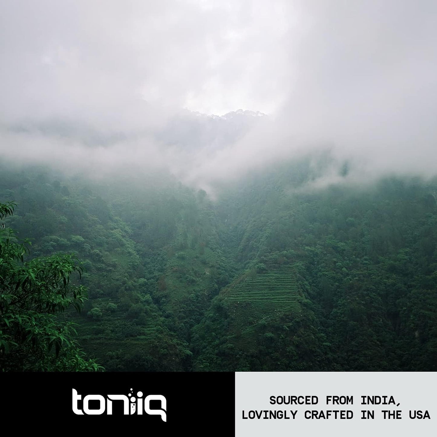 Toniiq Valerian Root Capsules - Ultra High Potency 4:1 Extract - Highly Concentrated - Third-Party Lab Tested - 120 Capsules