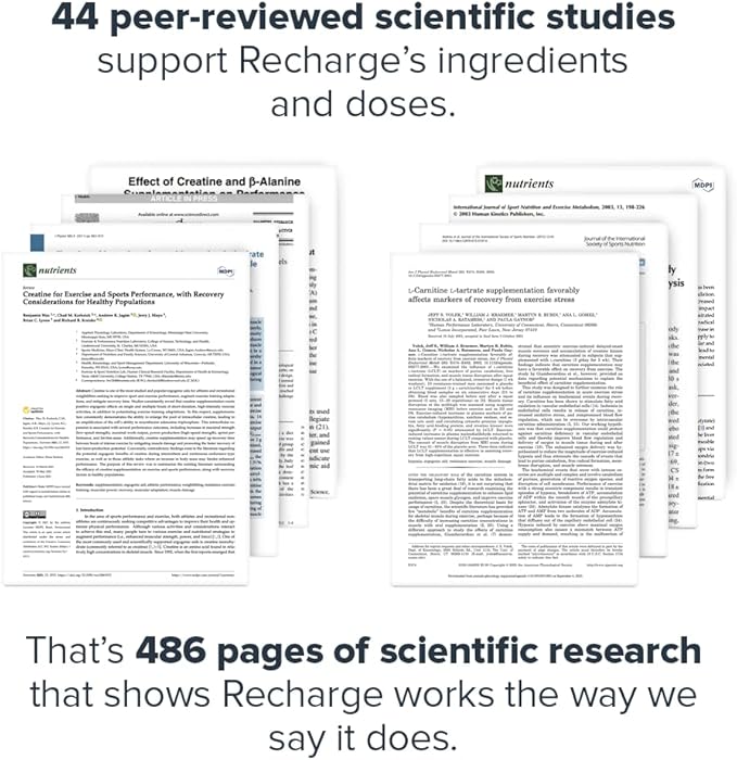 LEGION Recharge Post Workout Supplement - All Natural Muscle Builder & Recovery Drink with Micronized Creatine Monohydrate Naturally Sweetened & Flavored (Unflavored, 30 Serving (Pack of 1)