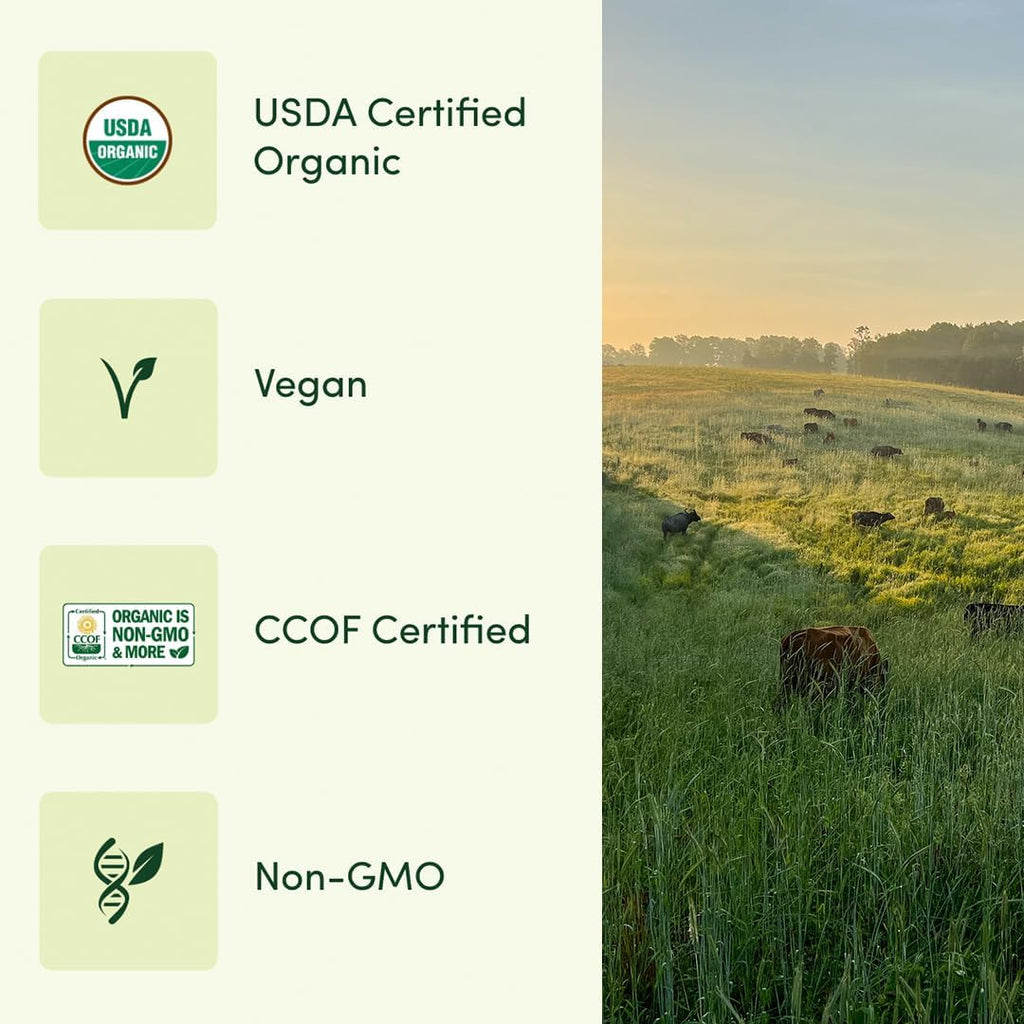 Once Daily Multi for Men 50+, 19 Vitamins from Herbs & Superfoods, Supports Prostate Health, Energy Levels, and Strong Bones, 30 Count