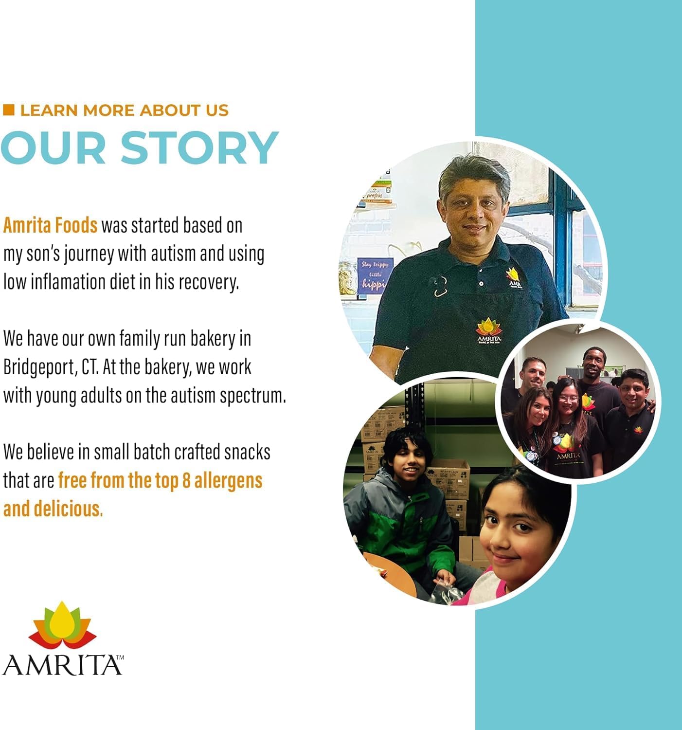 Amrita Nut Free 6 Flavor Variety Pack Vegan Protein Bars (12 CT) | 11g to 12g Plant-Based Protein Bar | Peanut Free, Gluten Free, and Dairy Free | Low Sugar, High Fiber, Healthy School-Safe Snacks