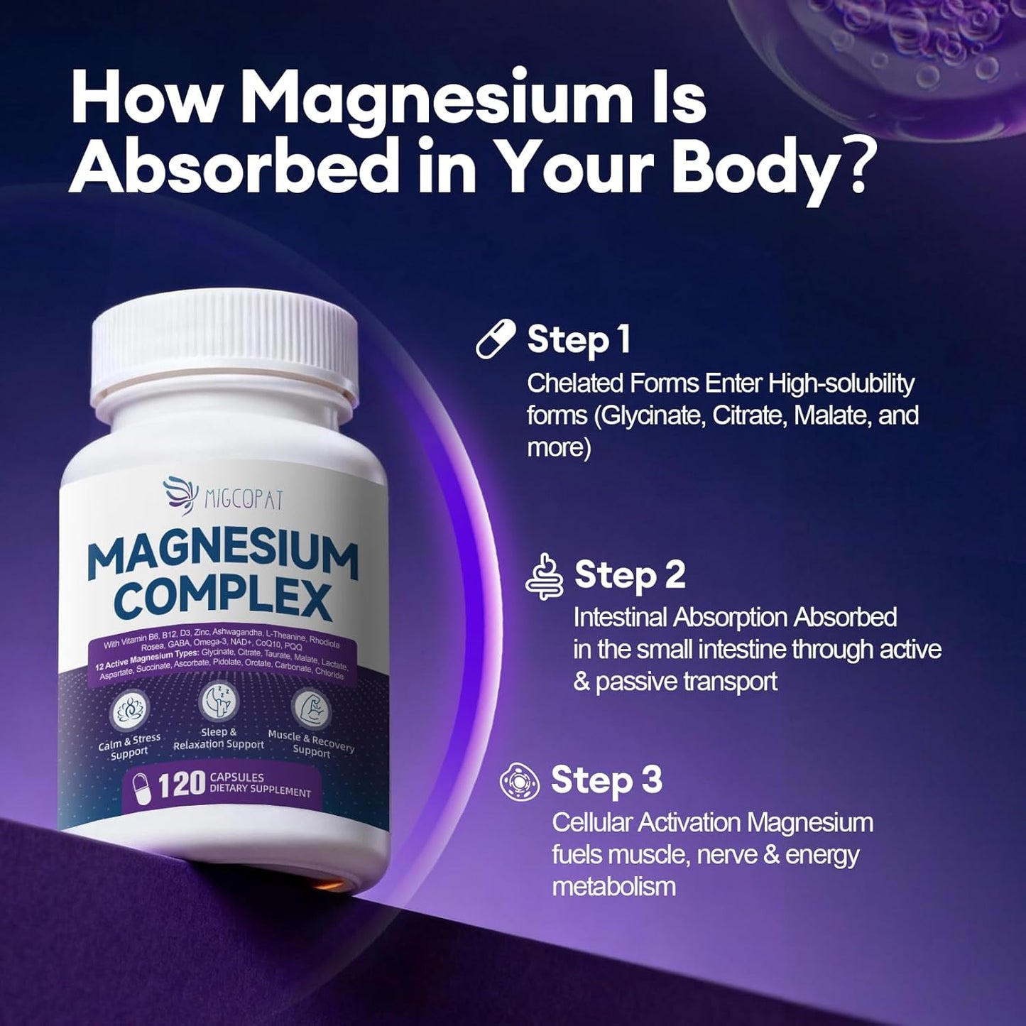 Magnesium Complex with Ashwagandha, L-Theanine & NAD+ | 24-in-1 Chelated Blend with Glycinate, Malate, Citrate & More | Supports Calm, Energy, Muscle & Sleep | Non-GMO, 120 Vegan Capsules
