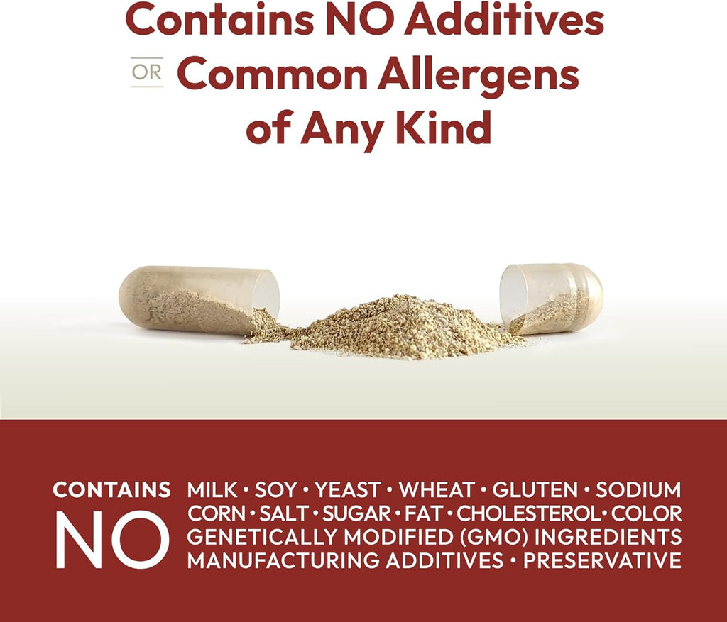 ANDREW LESSMAN Vitamin B12 500 60 Capsules - Absorption-Protected Methylcobalamin (Natural Coenzyme Vitamin B12), Essential for Energy and Stress Support, Plus B-Complex, Easy to Swallow Capsules