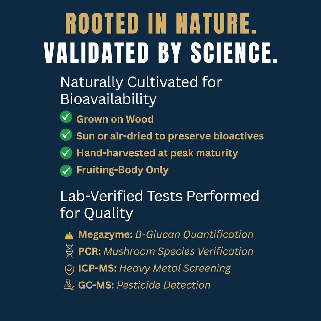 Monkey Brew Rise & Focus USDA Organic Mushroom Coffee | Boosts Focus, Energy, Immunity & Mood | 1,750mg Adaptogens: Lion’s Mane, Turkey Tail, KSM-66 Ashwagandha | Low Caffeine, Fruiting Body