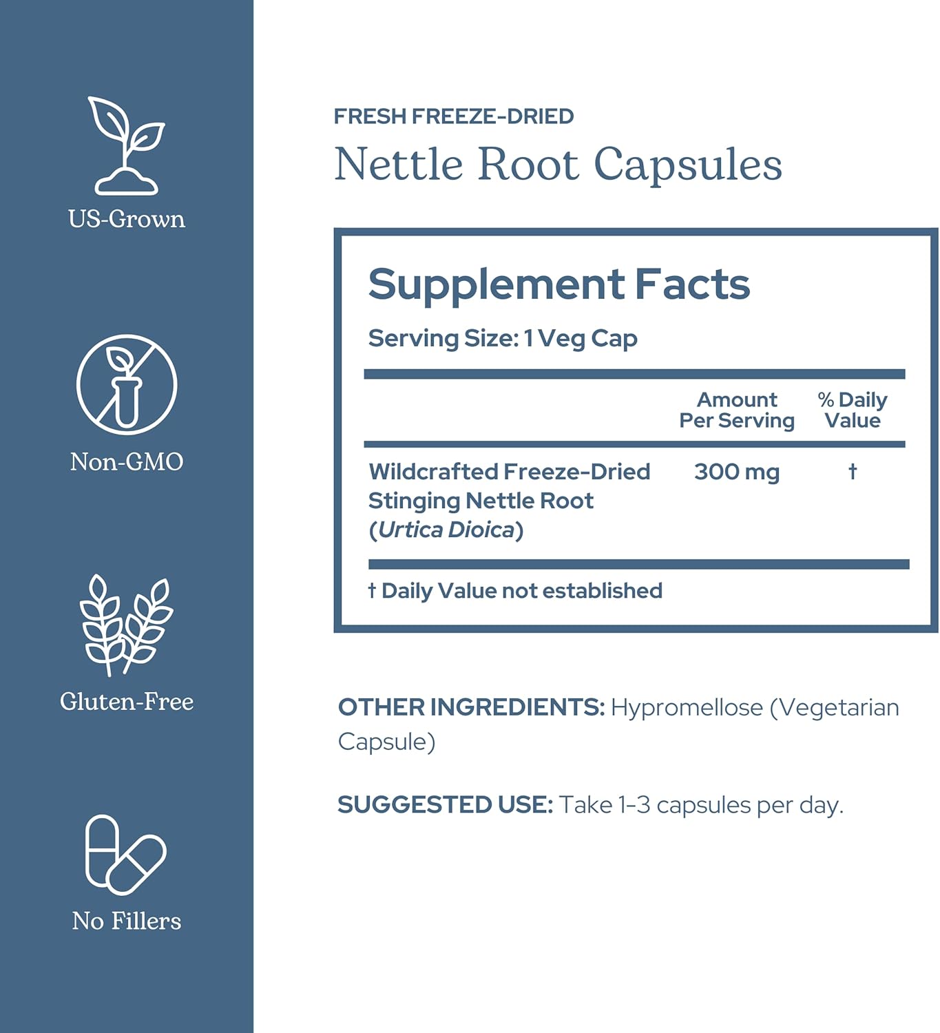 Eclectic Institute Raw Fresh Freeze-Dried Non-GMO Nettle Root | Prostate, Urinary Tract, and Male Support | 90 CT (250 mg)