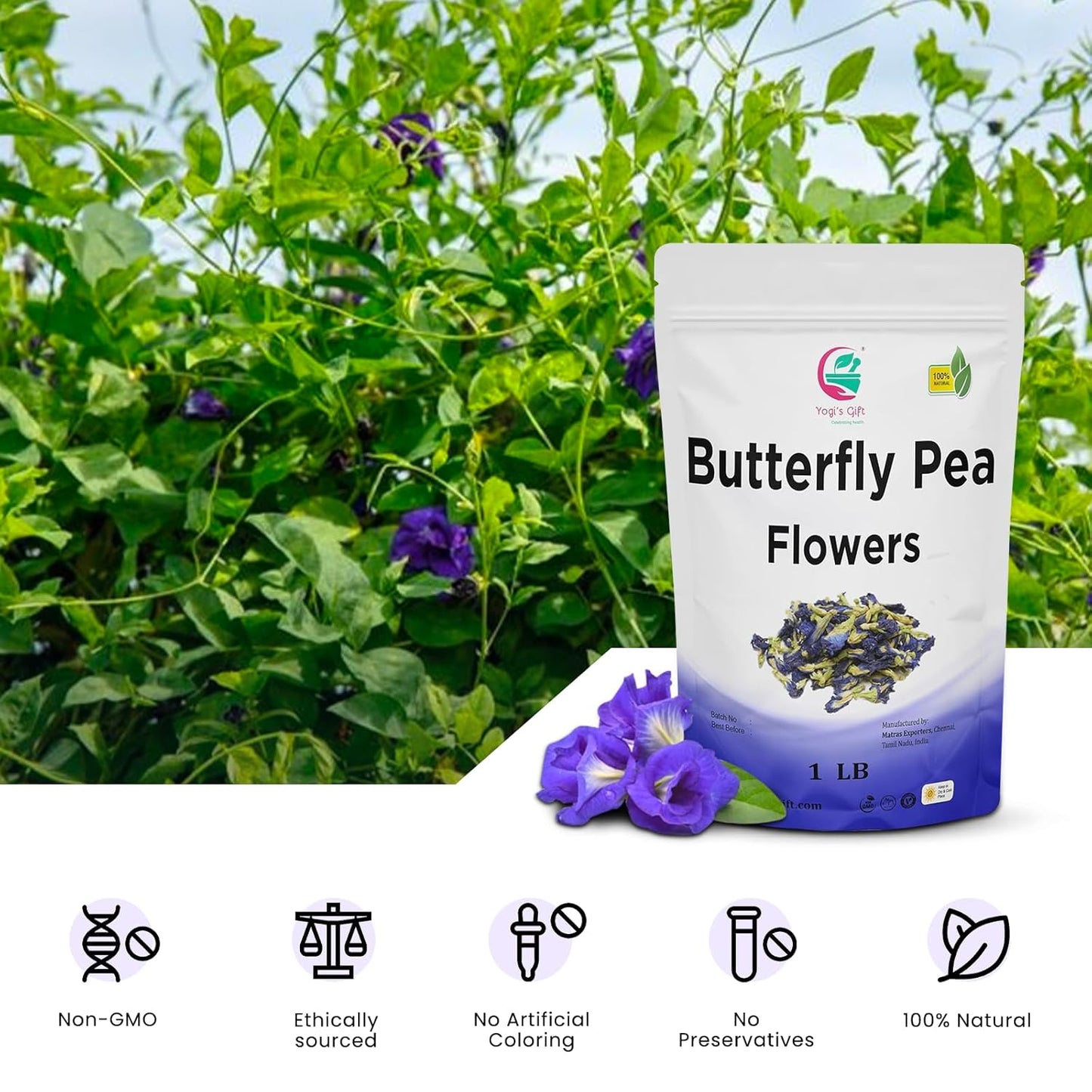 Butterfly Pea Flower Dried 1 LB (1000+ Cups) | Blue Butterfly Pea Flower Tea | BLUE TEA HERBAL TEA | Beautiful Blue Or Purple Food Coloring | Premium Quality | By Yogi's Gift®