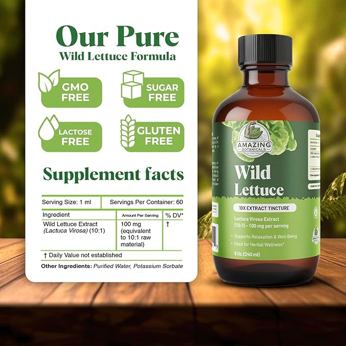 Amazing Botanicals Alcohol Free Wild Lettuce 10X Extract Tincture | Bulk Size | - USDA Organic Wild Lettuce (Lactuca Virosa) Dried Herb - 8 Fl oz