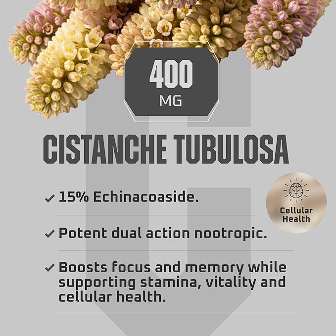 Earth Elixir Cistanche Supplement for Men & Women – Potent Cistanche Tubulosa Extract Capsules for Daily Vitality, Strength & Performance Support – Made in USA, 3rd Party Tested & 3 Month Supply