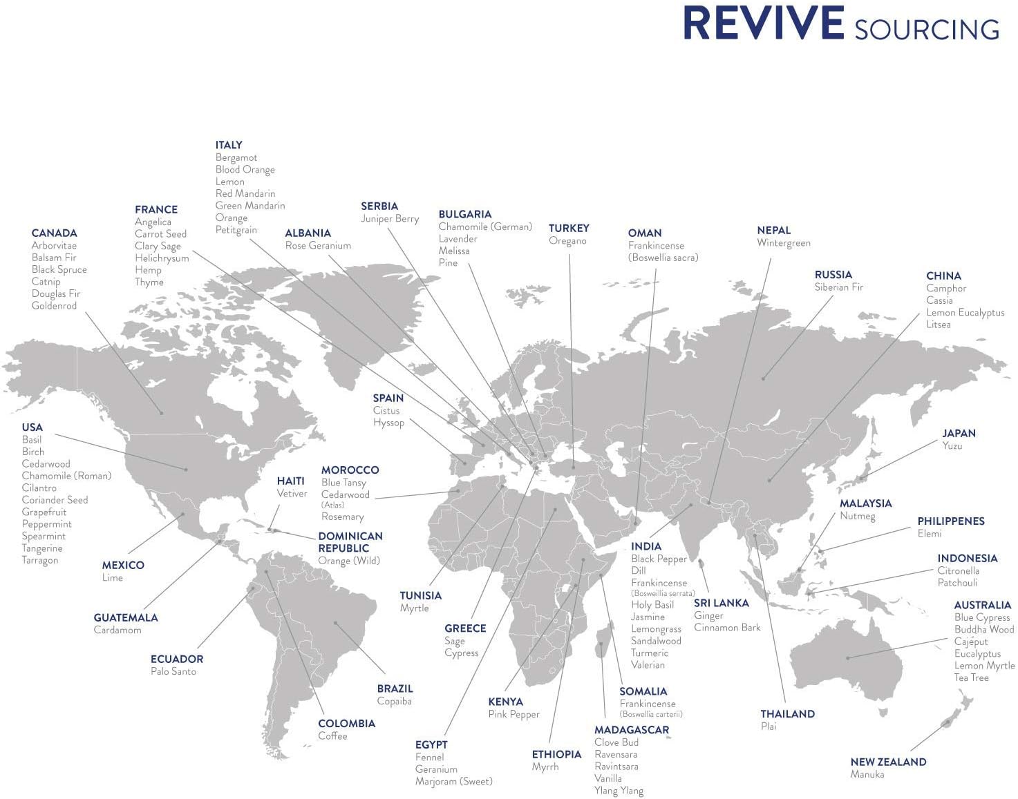 Frankincense King Essential Oil Blend 30mL by Revive Essential Oils - 100% Pure Therapeutic Grade, for Diffuser, Humidifier, Massage, Aromatherapy, Skin & Hair Care