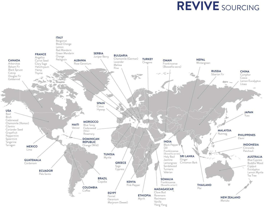 Frankincense Boswellia Sacra 10mL Essential Oil by Revive Essential Oils - 100% Pure Therapeutic Grade, for Diffuser, Humidifier, Massage, Aromatherapy, Skin & Hair Care