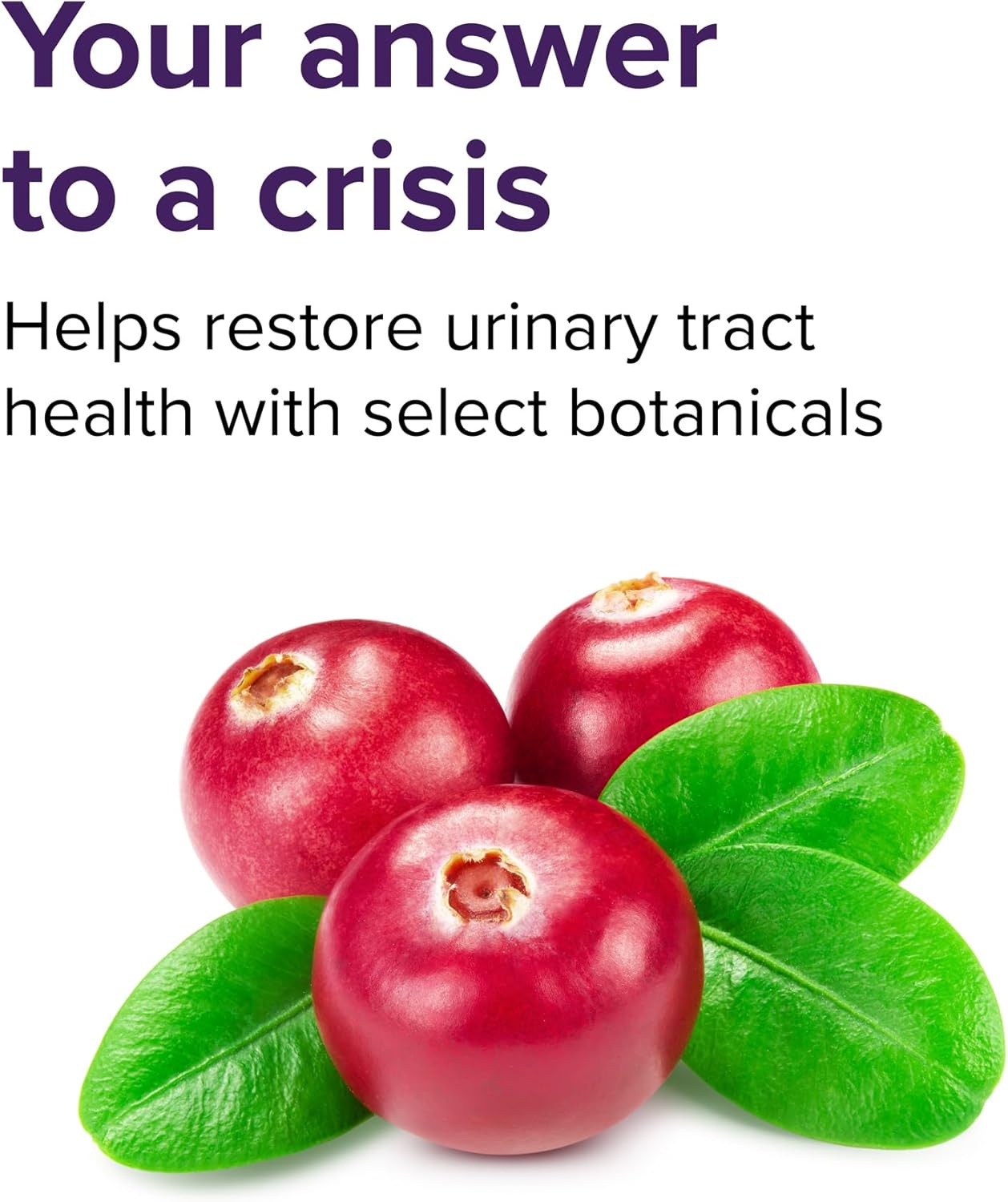 Vibrant Health, U.T. Vibrance Stick Packs, Crisis Intervention for Urinary Tract Health, 10 Servings