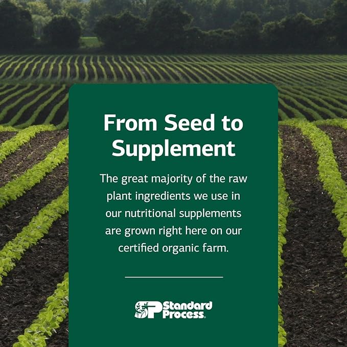 Standard Process Inc. Whole Body Multisystem Support Supplement for Canines - Nutritional Powder for Daily Health Maintenance - 25 g