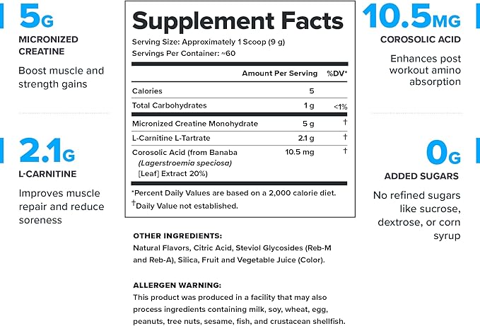 LEGION Recharge Post Workout Supplement - All Natural Muscle Builder & Recovery Drink with Micronized Creatine Monohydrate Naturally Sweetened & Flavored, (Strawberry Kiwi, 60 Serving)