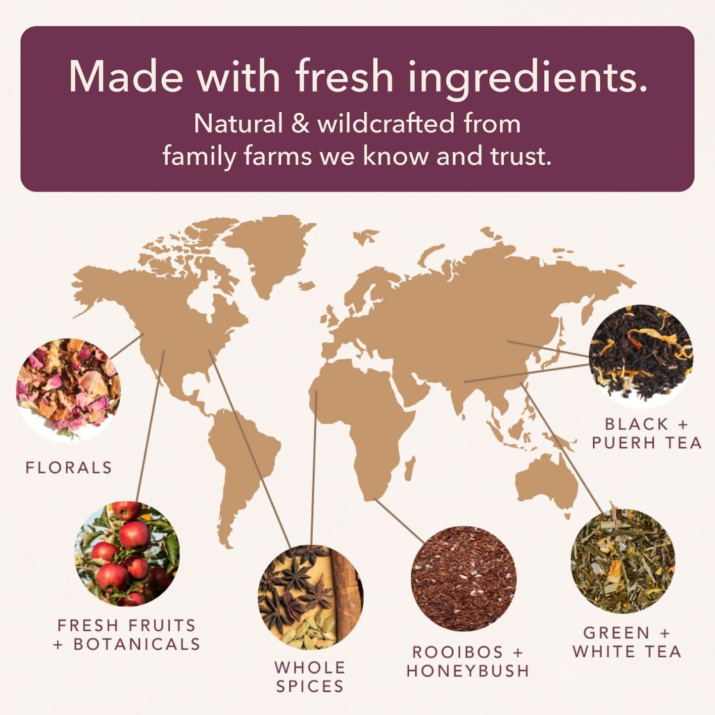 Citrus Mint Green Tea – Refreshing Loose Leaf Blend with Green Tea, Orange, Lemon, Lemongrass and Spearmint – Low Caffeine – Hot or Iced – 60 to 80 Cups – No Added Sugar – Hand Crafted in USA - Plum Deluxe