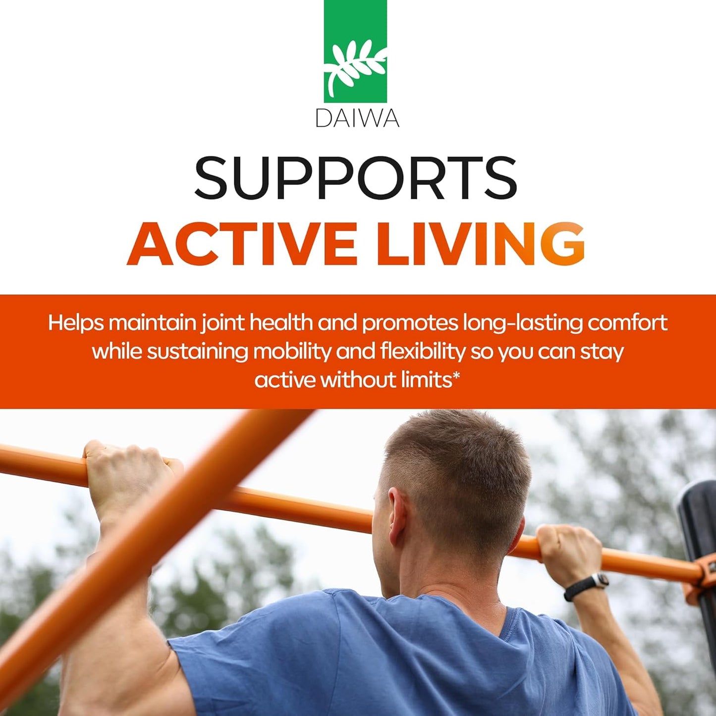 Daiwa Joint Health - Tendon and Ligament Supplements with Chinese Skullcap and Acacia Catechu - Traditional Plant-Based Formula for Active Lifestyles - Non-GMO, 30 Vegetarian Capsules