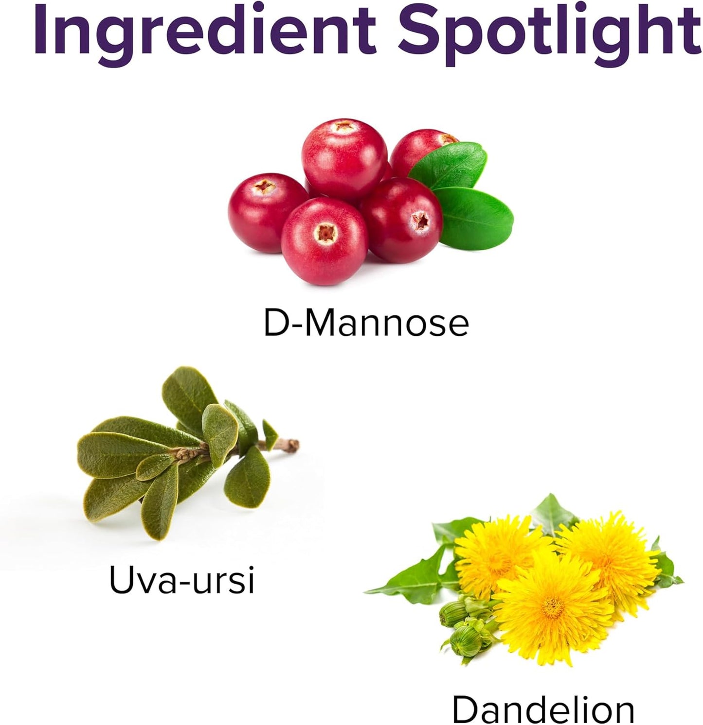 Vibrant Health, U.T. Vibrance Stick Packs, Crisis Intervention for Urinary Tract Health, 10 Servings