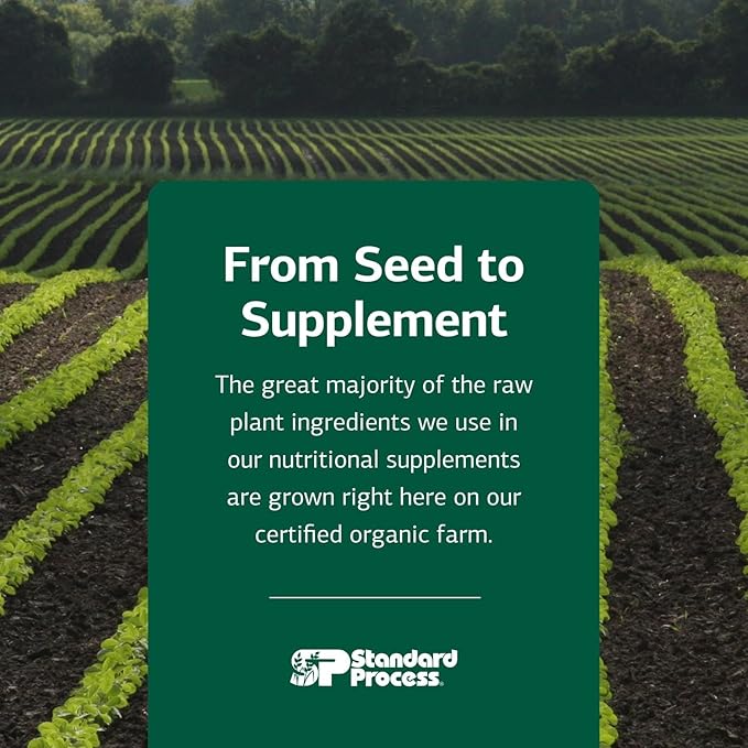 Standard Process Inc. Whole Body, Multisystem Support Supplement for Canines - Nutritional Powder for Daily Health Maintenance - 100 g