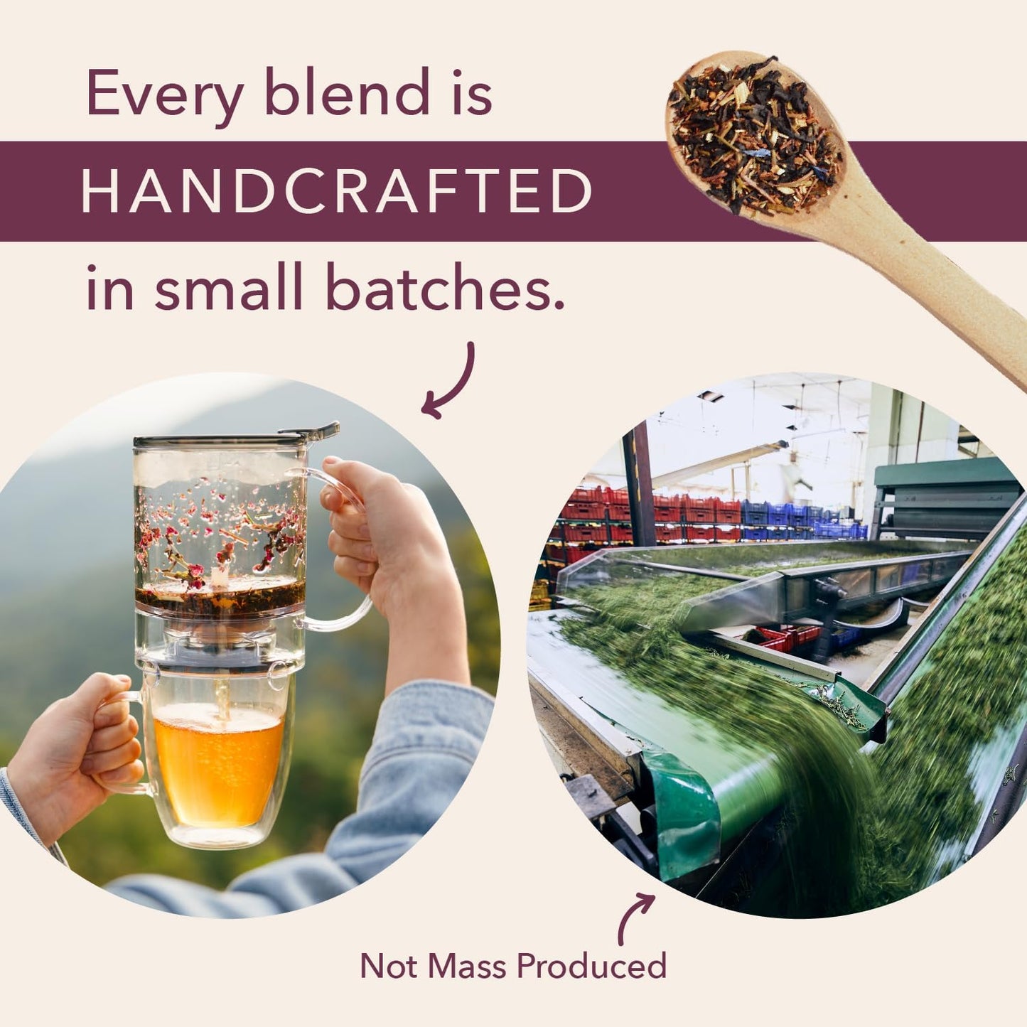 Citrus Mint Green Tea – Refreshing Loose Leaf Blend with Green Tea, Orange, Lemon, Lemongrass and Spearmint – Low Caffeine – Hot or Iced – 60 to 80 Cups – No Added Sugar – Hand Crafted in USA - Plum Deluxe