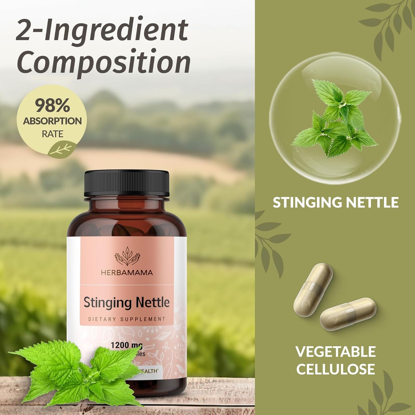 HERBAMAMA Stinging Nettle Capsules - 1200mg Stinging Nettle Root Extract for Urinary Tract Support - Vegan, Non-GMO Urtica Dioica Supplement, 100 Caps