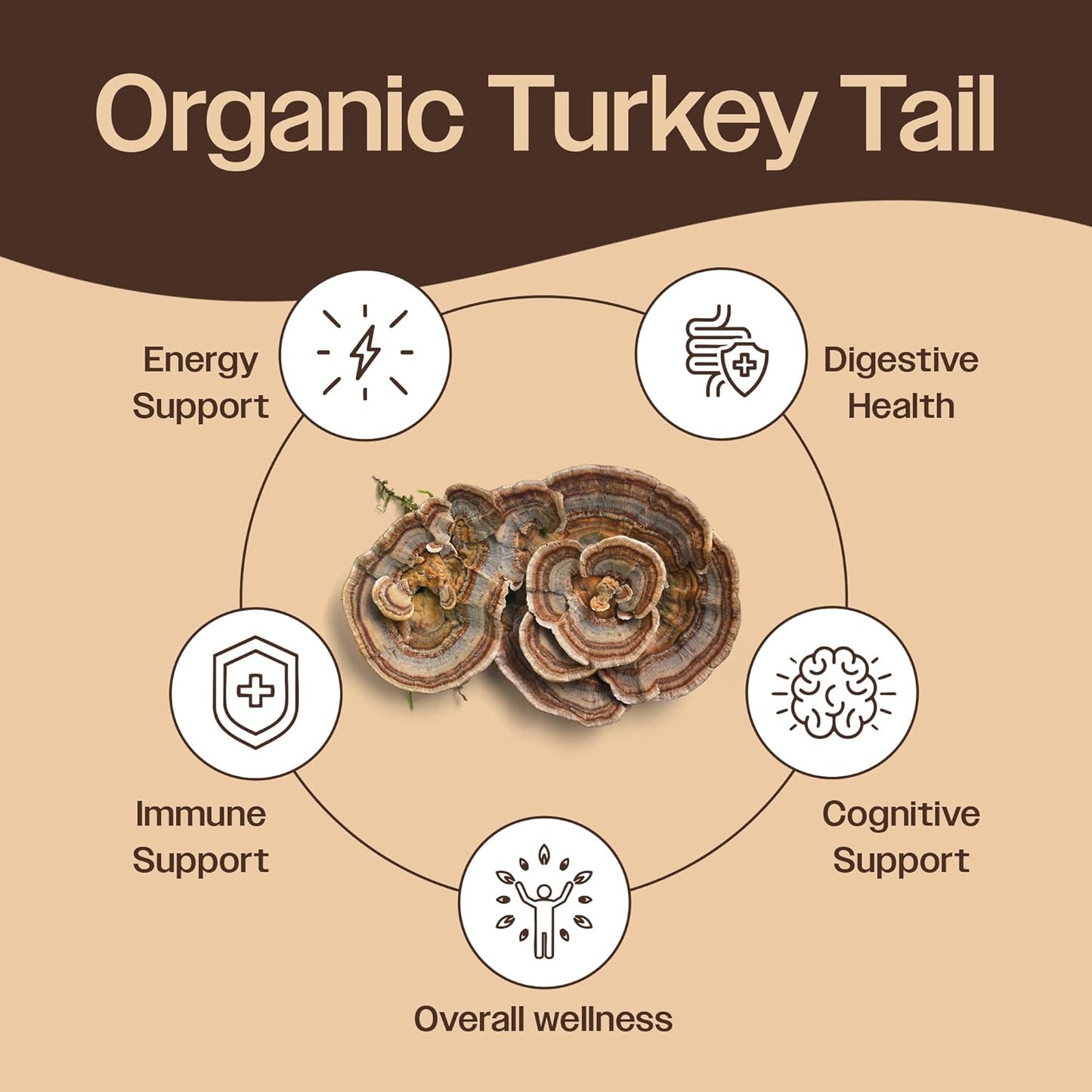 Turkey Tail Mushroom Powder - Organic Mushroom Powder For Immune Support Digestive Health & Immune Response Support Supplement - Hot Water Extracted, 45% Beta-Glucans - 7.10 oz (200 Servings)