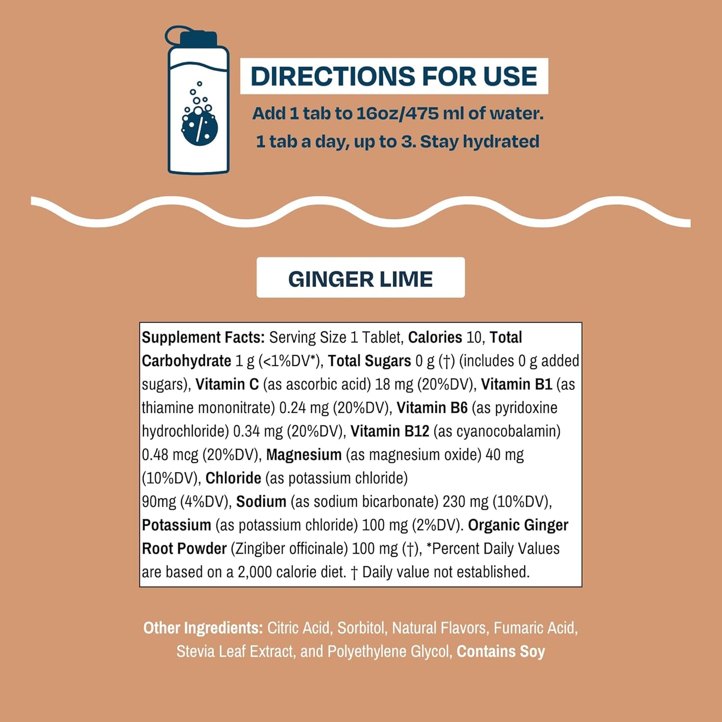 Drinklits Ginger Lime Electrolyte Fizzy Hydration Tablets (6) Tube Bundle | 0g Sugar - Natural Sports Drink - Organic Ginger | 60 Servings - 10 Tablets Per Tube