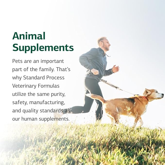 Standard Process Inc. Whole Body, Multisystem Support Supplement for Canines - Nutritional Powder for Daily Health Maintenance - 100 g