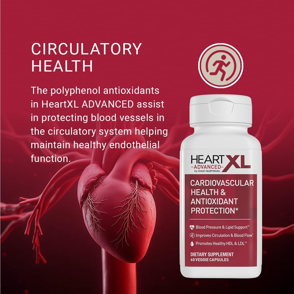OmegaXL HeartXL Advanced - Heart Health Supplement - Three clinically Studied Mediterranean antioxidant extracts - Supports Blood Pressure, Cholesterol and Circulatory Health (60 Capsules)