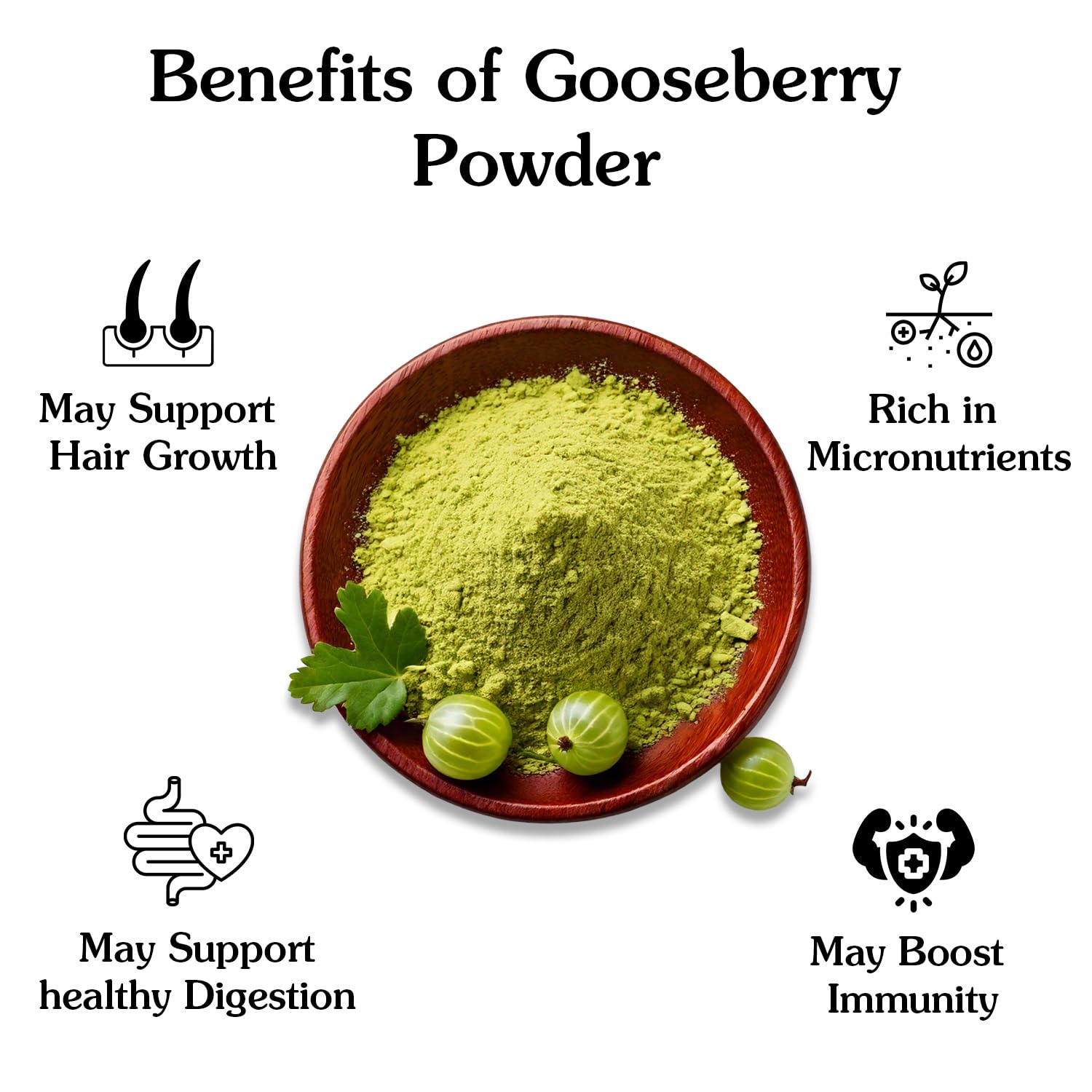 Ancient Roots Gooseberry Powder -100% Pure & Natural, Non-GMO, Gluten-Free, Finely Ground Amla for Smoothies, Teas, and Recipes, 10.5 oz Resealable Bag