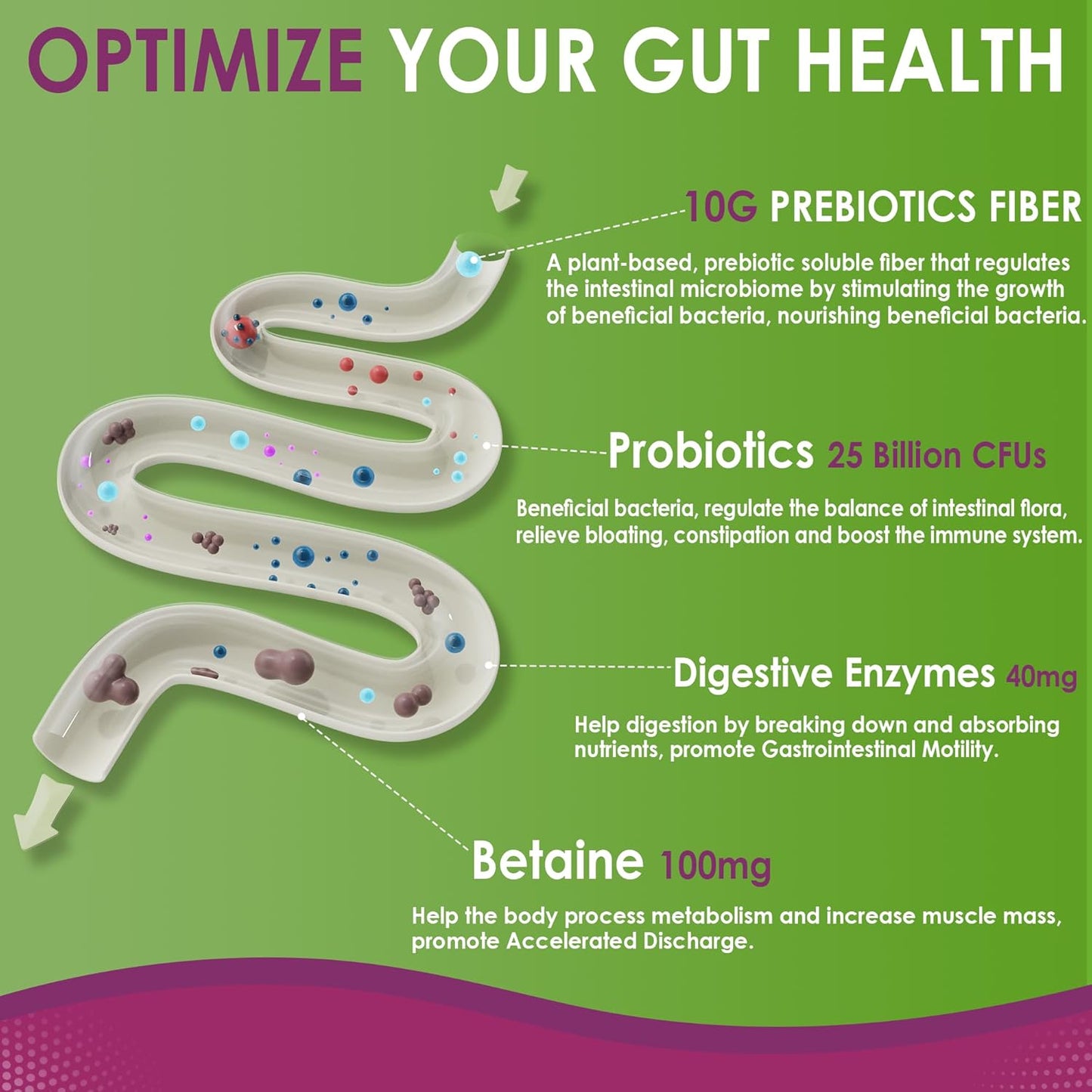 Fiber Gummies for Adults, Sugar Free 10g Prebiotic Fiber Supplement with Digestive Enzymes, Probiotics & 100mg Betaine for Digestive & Gut Health and Regulate Bowel Movement, Vegan, Gelatin Free, 60ct