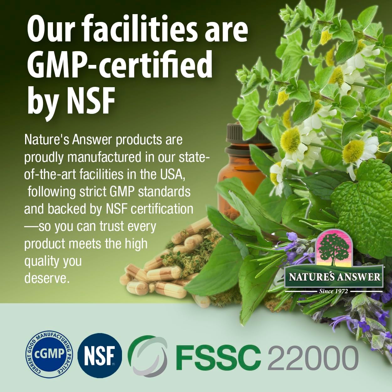 Nature's Answer Shiitake Mushroom Extract Alcohol Free 1 Fluid Ounce | Supports Health and Wellness