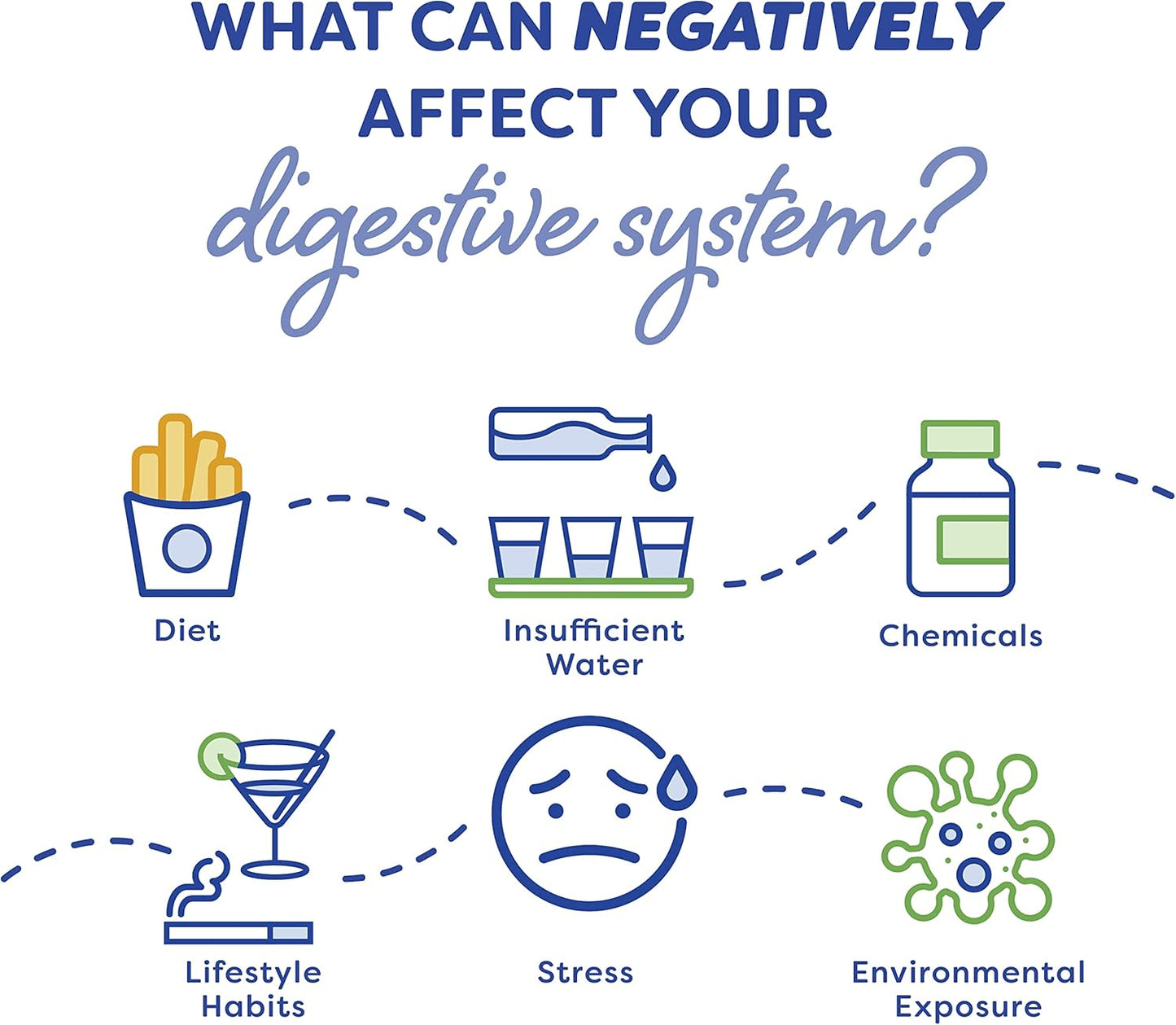 Probulin Daily Digestive Enzymes - Plant-Based Enzymes to Support Digestive Comfort, 60 Vegan Capsules