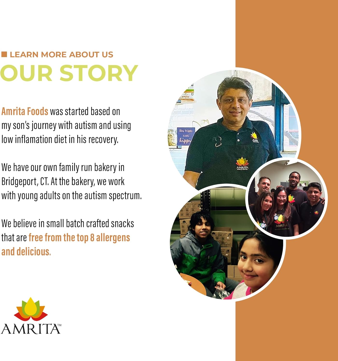 Amrita Nut Free Apple Cinnamon Vegan Protein Bars (12 Count PK of 3) | 11g Plant-Based Protein Bar | Peanut Free, Gluten Free, and Dairy Free | Low Sugar, High Fiber, Healthy School-Safe Snacks